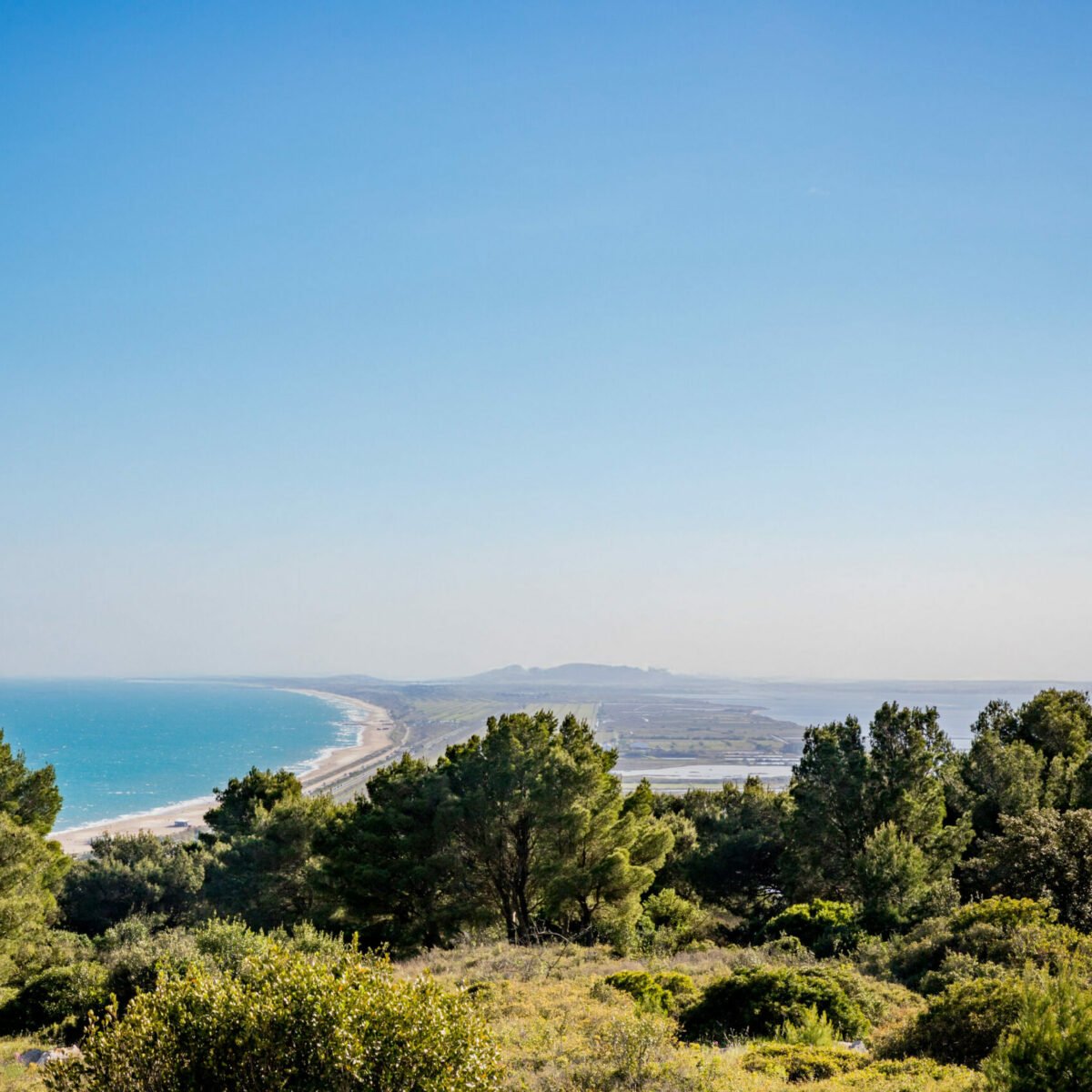 Vue depuis la Forêt Domaniale des Pierres Blanches